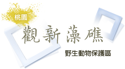 桃園觀新藻礁野生動物保護區logo